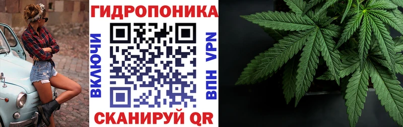 где найти   Ленинск  OMG зеркало  Бошки Шишки семена 